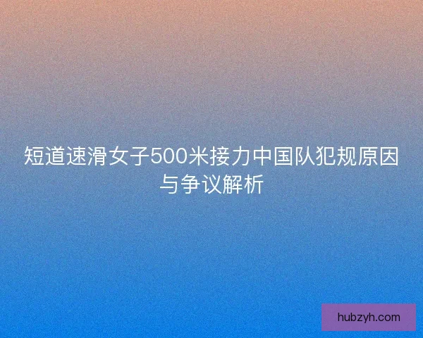 短道速滑女子500米接力中国队犯规原因与争议解析